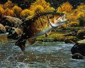 -Unknown - 马克·苏祖尼奥